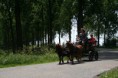 /album/menrit-04-06-2011/a06-04-2011-41-jpg/